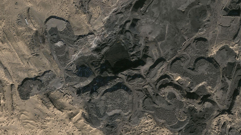 Illustration for article titled First Photos of China's 298-Million-Year-Old Buried Forest